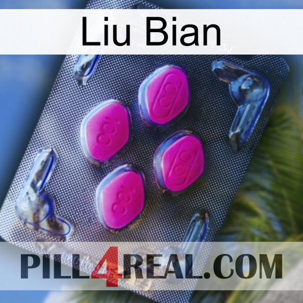 Liu Bian 02